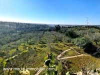 Villa Lotus AV1586 Hammamet 