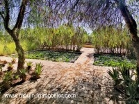 Villa Lotus AV1586 Hammamet