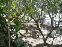 Villa Margo réf AV981 Carthage