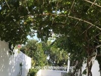 Villa Melody 2 AL2507 Hammamet 