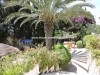 Villa Mostafa AL814 Hammamet