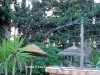 Villa Mostafa AL814 Hammamet Nord 