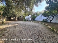 Villa Moussi AL052 Hammamet zone theatre 