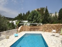 villa nathalie AL1555 hammamet 