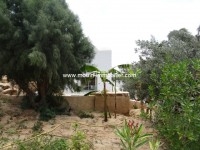 villa nathalie AL1555 hammamet 