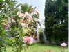 Villa Nawar ref AL027 Hammamet