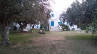 Villa Nawres AL2458 Hammamet 