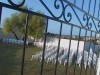 villa neuve avec espace fete et jardin 