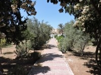 Villa Nina ref AL1822 Hammamet Sud