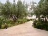 Villa ODYSSÉE - Mrezka    