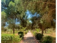 VILLA RED Hammamet Sud AL3558