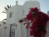 Villa Rosa