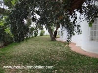VILLA SAM à Jinan Hammamet I AV1628