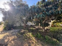 Villa SAPHIR & TOPAZE (Réf: V2885)