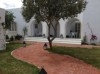 VILLA SARAH HAMMAMET