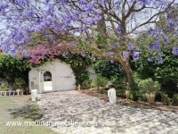Villa Sebastien AL3161 Hammamet zone theatre
