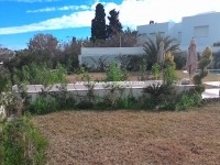 villa synphonie AV666 gammarth tunis 