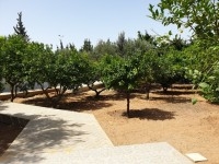 Villa The Peace AL2430 Hammamet 