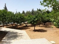 VILLA THE PEACE eeeze Hammamet Nord AL2430