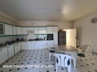 VILLA TONY Hammamet Mrezka AV1794