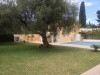 vILLA verdure v363