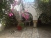 VILLA VERTE - Hammamet