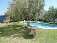 villa wafa AL1656 hammamet nord 