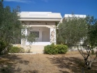 Villa Yakout AV855 Hammamet Nord