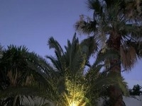 VILLA YASMINE 1 Hammamet Nord AL2573