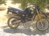 XT600Z TENERE