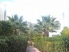 Yasmine Hammamet,Dérrière Carthage Land