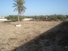 ضيعة بجربة مزراية ranch Djerba Mezraya