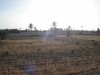 ضيعة بجربة مزراية ranch Djerba Mezraya