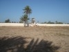 ضيعة بجربة مزراية ranch Djerba Mezraya