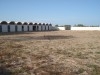ضيعة بجربة مزراية ranch Djerba Mezraya